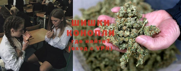 эйфоретик Осташков