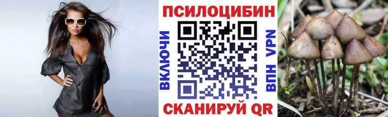 Псилоцибиновые грибы Psilocybe Мурино